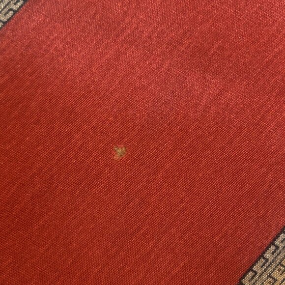 Morgan Taylor Classic Paisley Panel Striped 100% Silk Rectangular Scarf - Picture 5 of 8